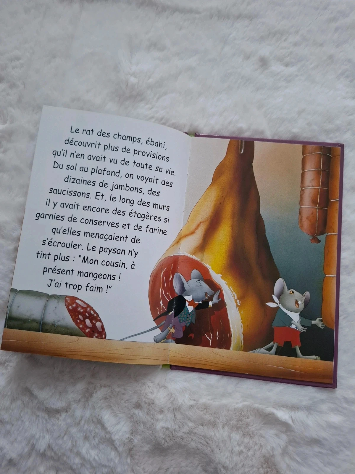 📚 book first reading rats of the city and rats of the country level 3 Van gool – photo 12